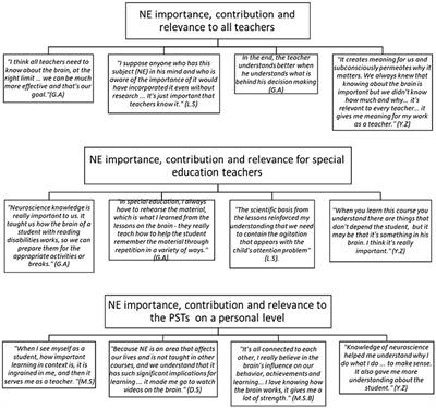 Perceptions of special education pre-service teachers regarding the implementation of a neuroscience motifs-based teacher training program